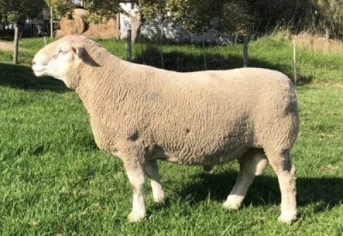 LOT 7 RAM : DTC 18 00 - CLARKE SD & TA